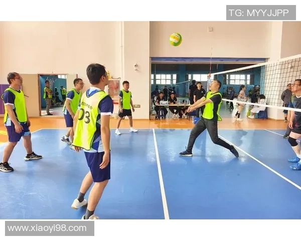 深圳排球队在杯赛中的灵活性展现与战术调整分析